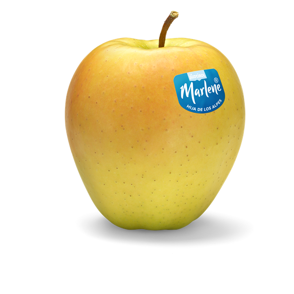 MANZANA BLANCA MARLENE