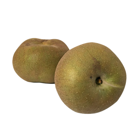 MANZANA REINETA PARDA