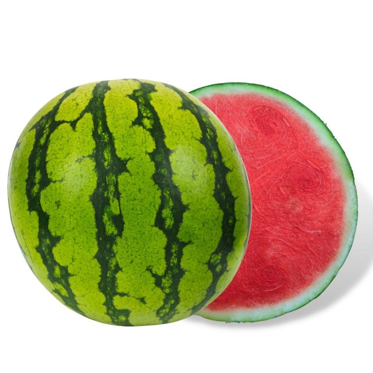 SANDIA BLANCA SIN PIPA