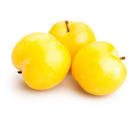 CIRUELA BLANCA