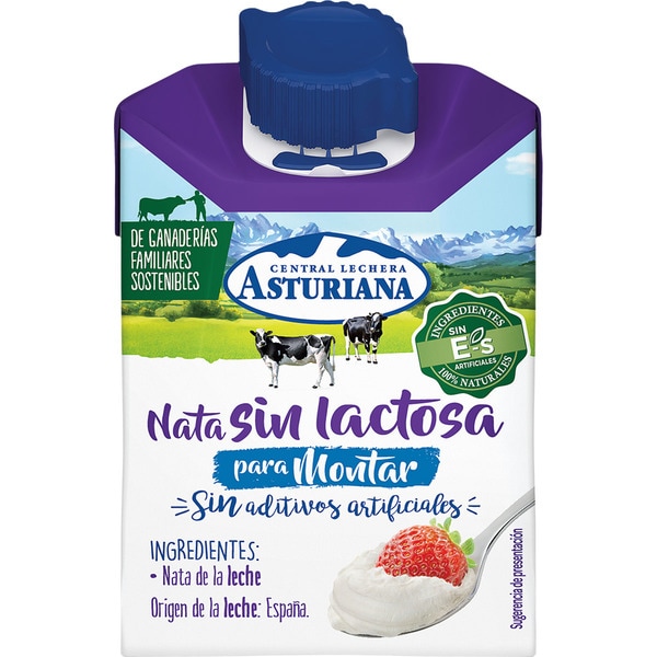 ASTURIANA NATA MONTAR S/LACTOSA 200ML