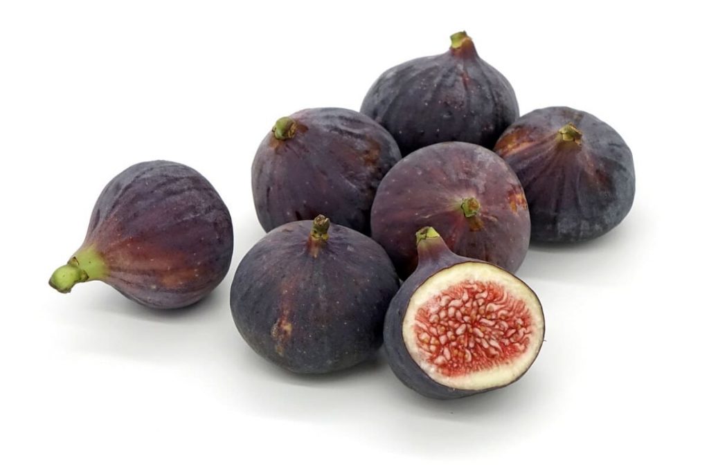 HIGO DE LECHE GUIMAR