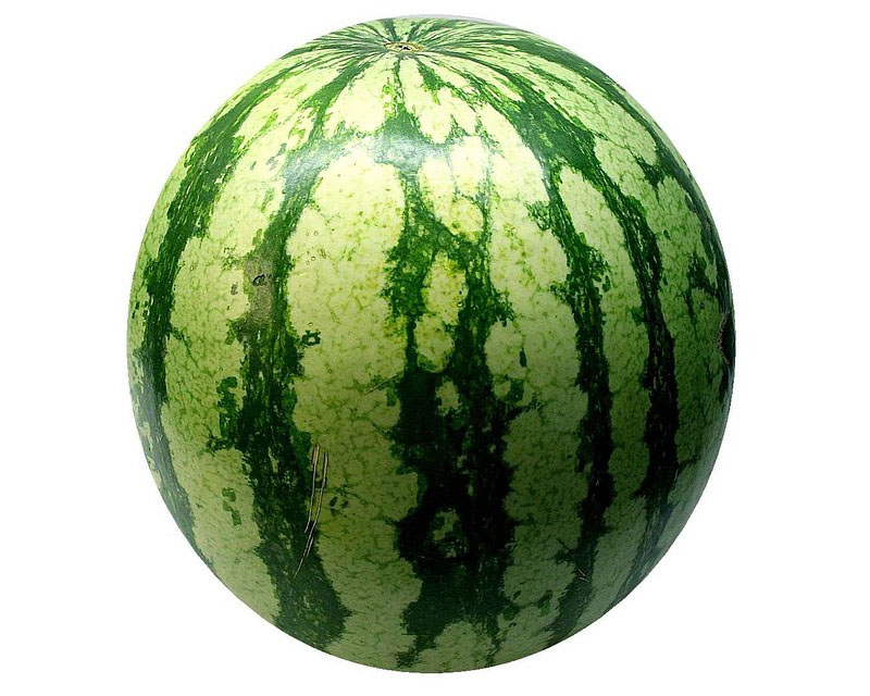 SANDIA ENTERA 