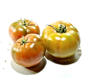 TOMATE ENSALADA PAIS