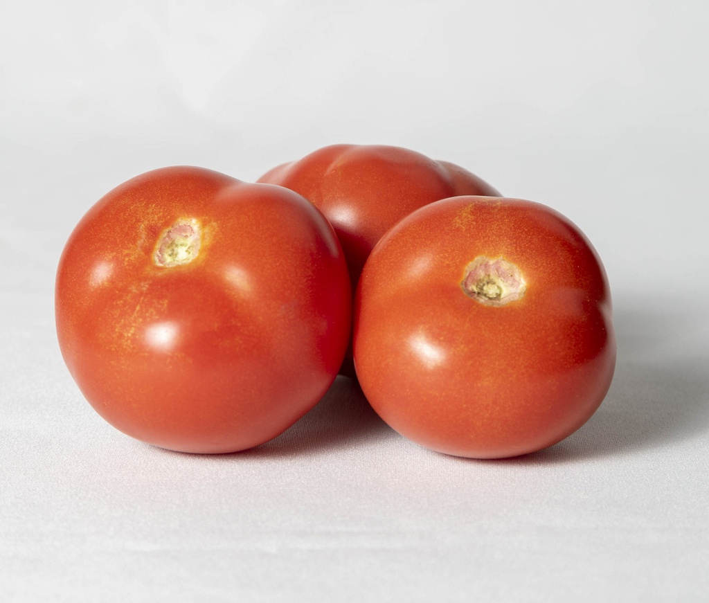 Tomate MEDIANO