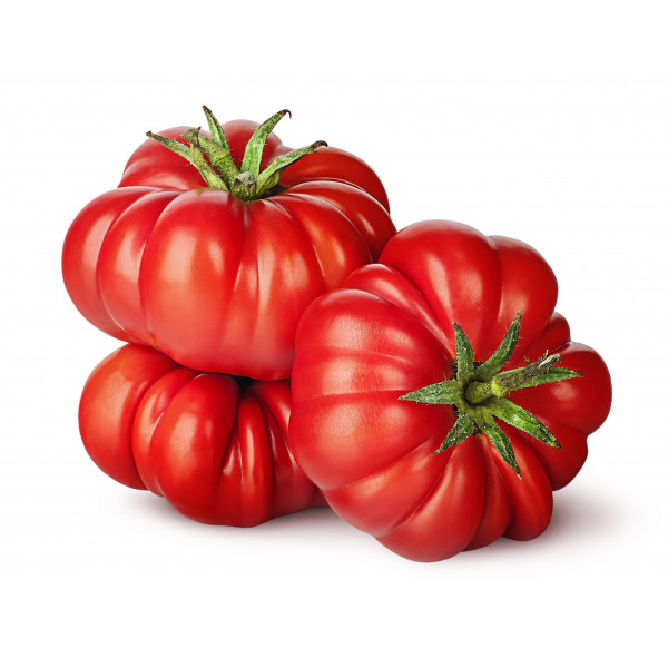 TOMATE RAF