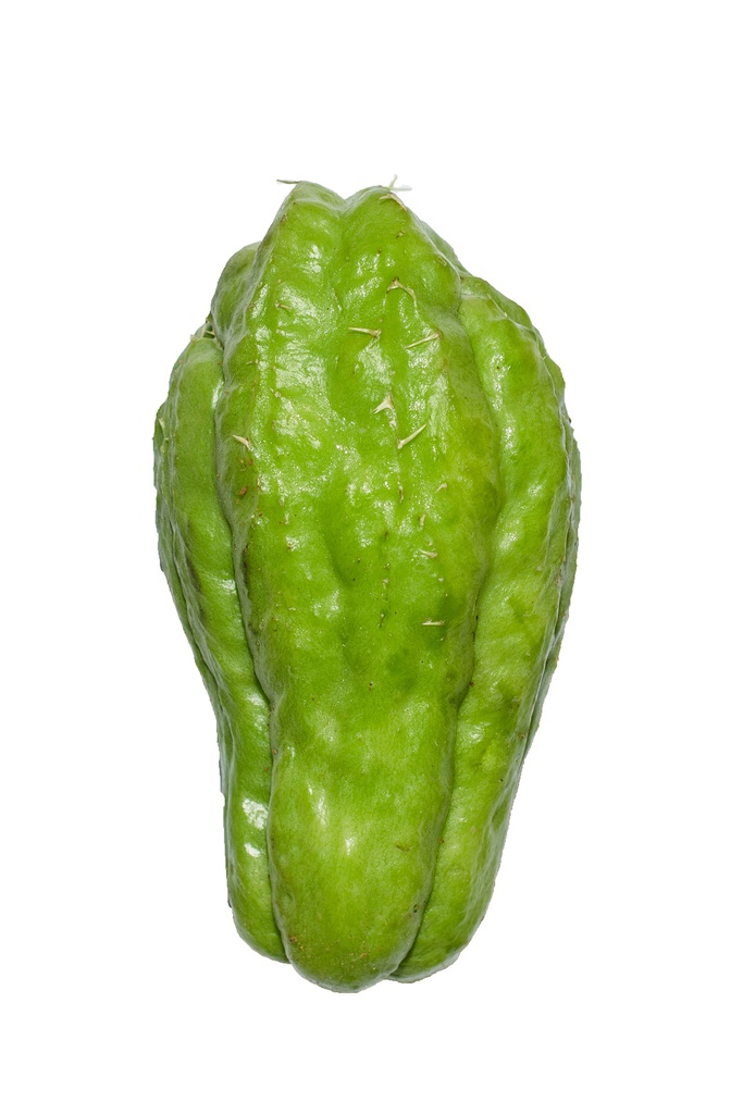 CHAYOTE