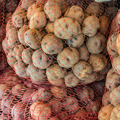 PAPA NEGRA /BONITA MALLA