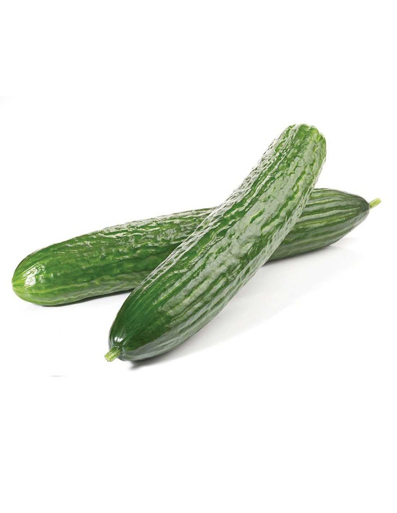 PEPINO PLASTICO