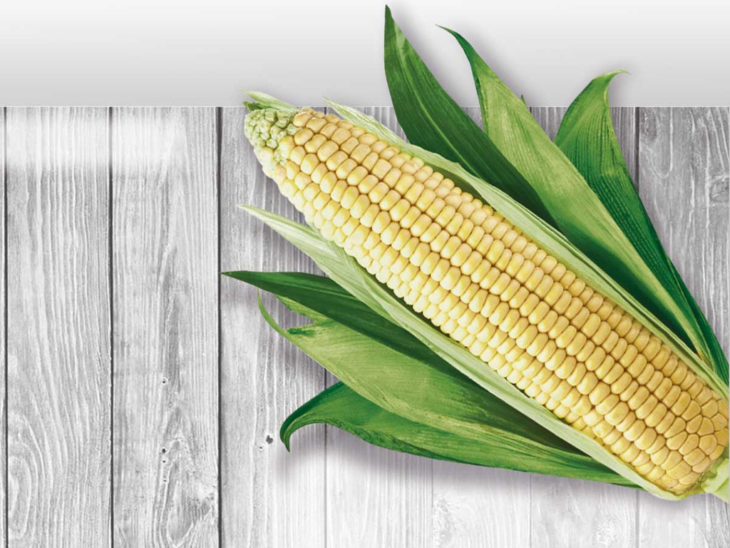 PIÑA MILLO PEQUEÑA