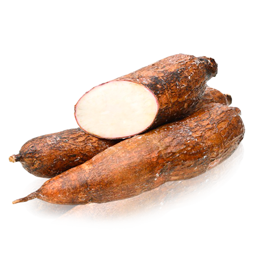 YUCA