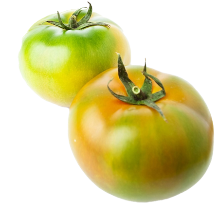 TOMATE PLATO