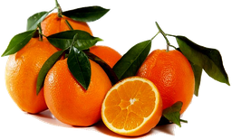 [41] NARANJA PAIS