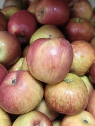 [151] Manzana fuji Pais