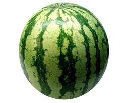 [254] SANDIA ENTERA 