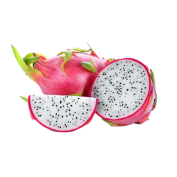 [51] PITAHAYA