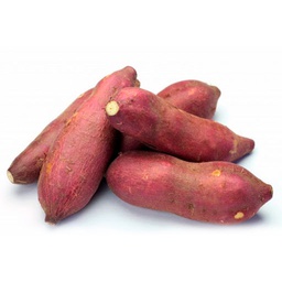 [71] BATATA ROJA LANZAROTE