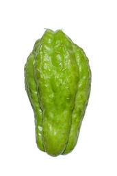 [96] CHAYOTE