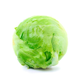 [107] LECHUGA ICEBERG