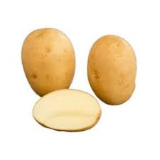 [112] PAPA SLANER PAIS