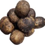 [161] PAPA KING EDWARD DE FUERA