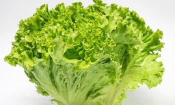 [212] LECHUGA BATAVIA PESO